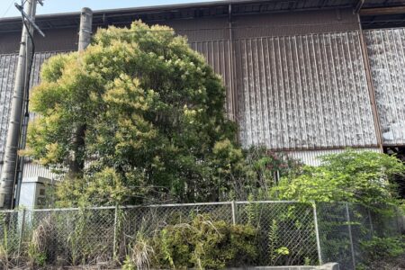【お客様事例：北九州市】倉庫内の不用品回収と木の伐採工事