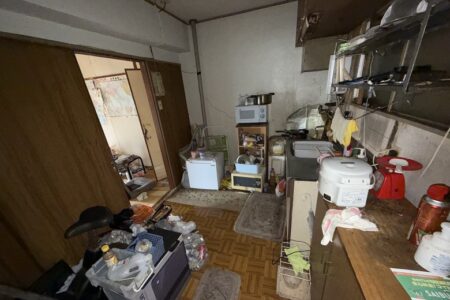 【お客様事例：北九州市】虫が多く発生したゴミ屋敷片付け